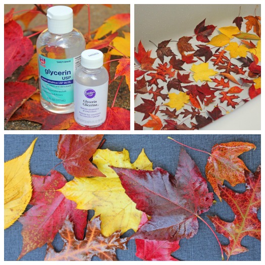 4 Ways To Preserve Fall Leaves decorate Your Home For Fall For Less 