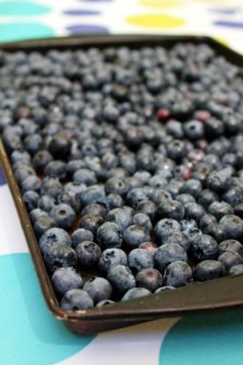 freezing blueberries