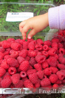 raspberries