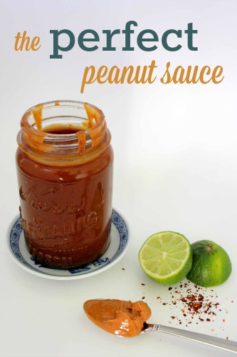 The Perfect Peanut Sauce recipe: A 'can't miss' recipe that uses ingredients you probably already have in your kitchen!