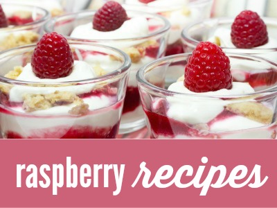 Fresh Berry Recipes from around the web - Frugal Living NW