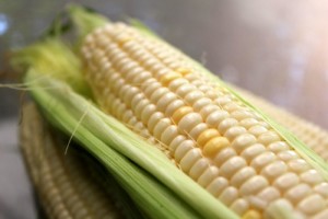 Corn