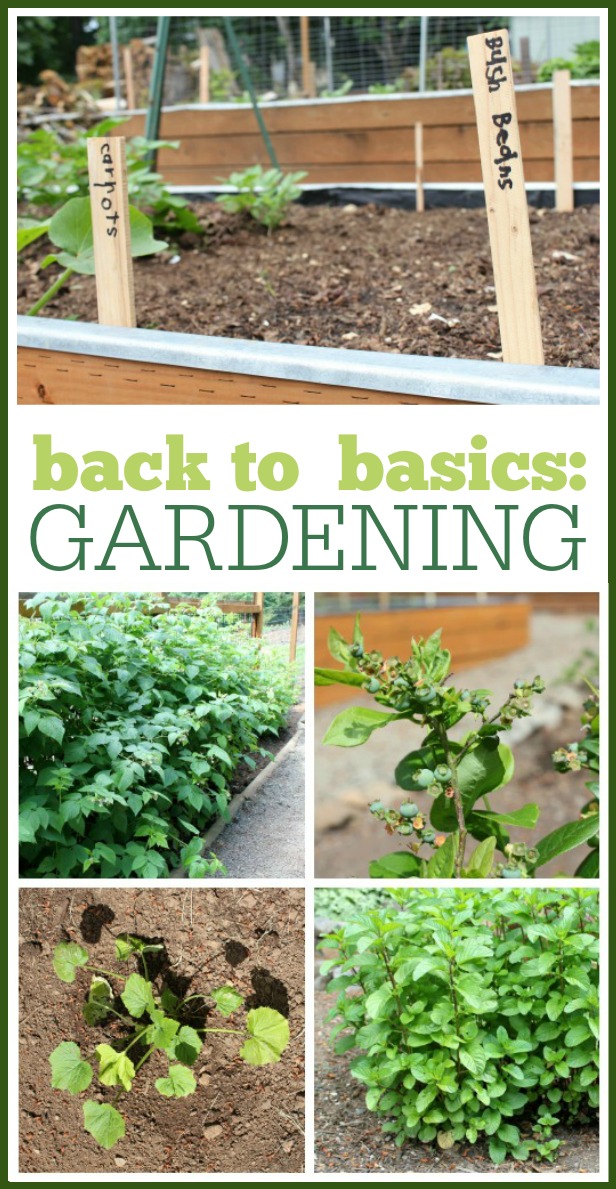 Back to Basics Gardening (learn how to garden in no time!) Frugal Living NW