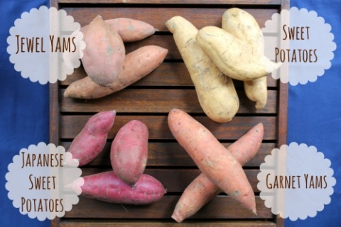 What is the difference between sweet potatoes and yams?