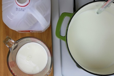 https://www.frugallivingnw.com/wp-content/uploads/adthrive/2014/04/homemade-yogurt-recipe-480x320.jpg