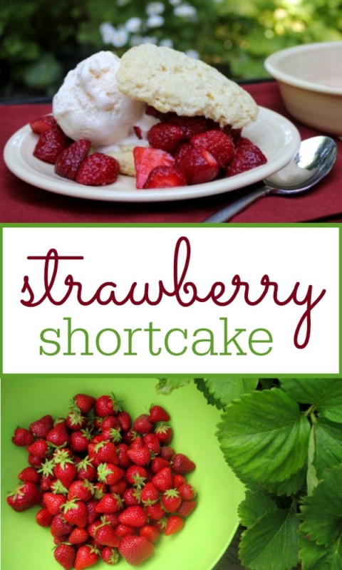 https://www.frugallivingnw.com/wp-content/uploads/adthrive/2014/06/strawberry-shortcake-recipe-480x800.jpg