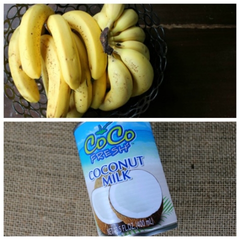 Dairy-Free Coconut Homemade Ice Cream (2 Ingredients/No Machine