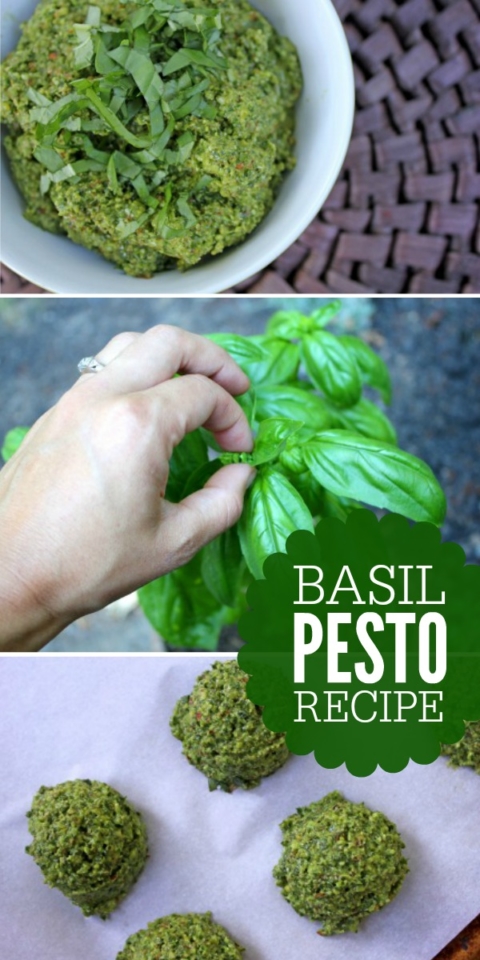 Basic Basil Pesto Recipes