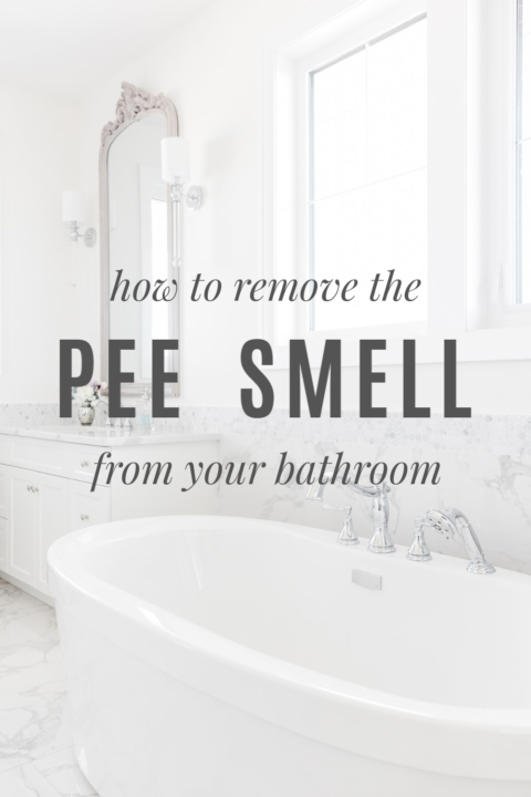 6 Reasons Your Bathroom Smells Like Poop (and What to Do About It)