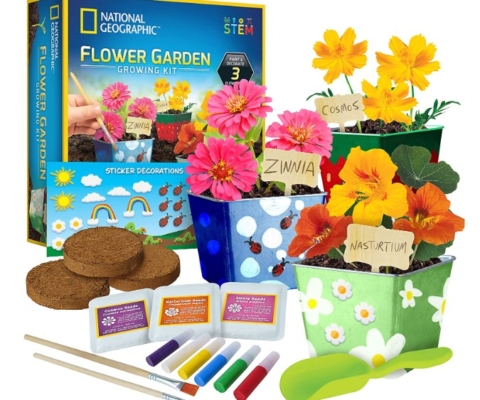 https://www.frugallivingnw.com/wp-content/uploads/adthrive/2023/06/flower-glowing-garden-kit-480x400.jpg